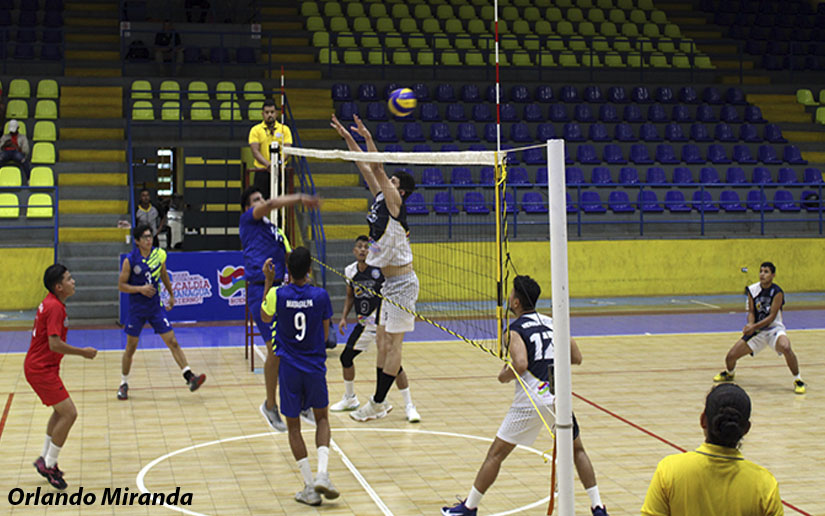 TORNEO